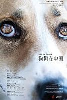 狗狗在中国