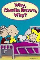 为什么，查理·布朗，为什么？