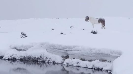 自然世界：冰岛：冰与火的国度3