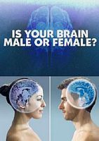 你的大脑是男性还是女性