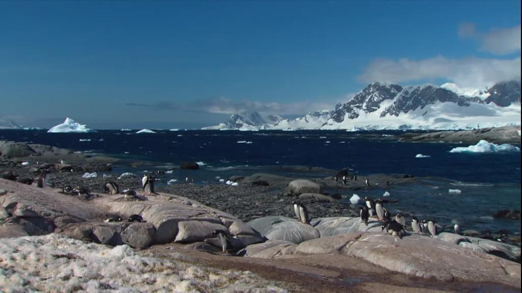 南极洲：末日的世界0