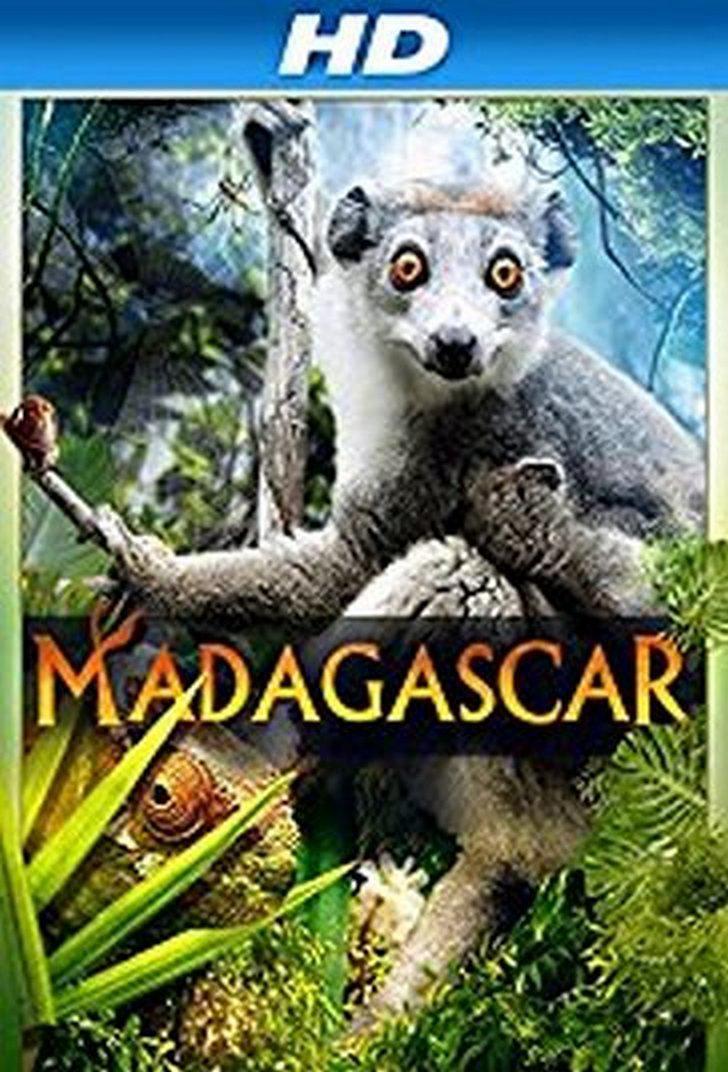 马达加斯加 3D0