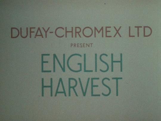 English Harvest3