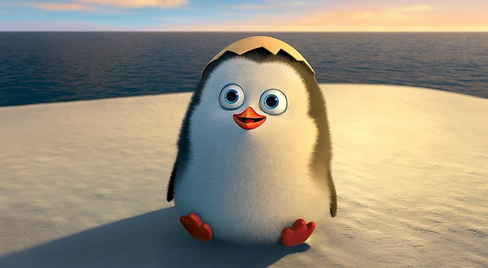 马达加斯加的企鹅0