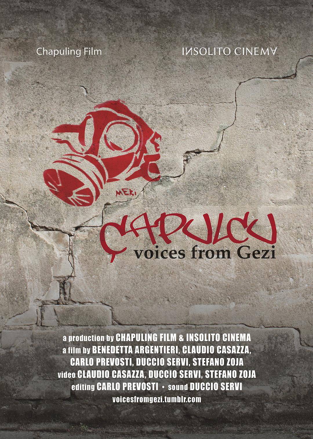 Çapulcu：Voices from Gezi0