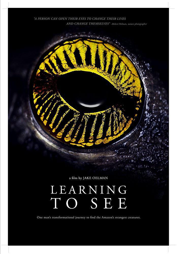 Learning to See: The World of Insects0