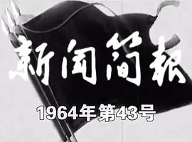 新闻简报1964年第43号0