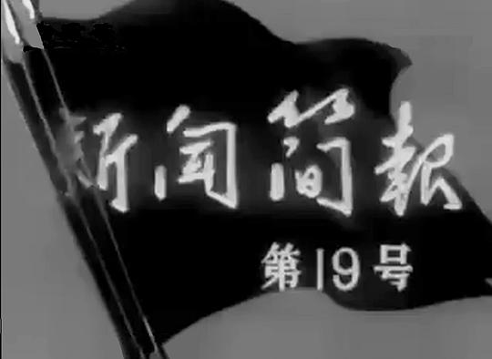 新闻简报1965年第19号0