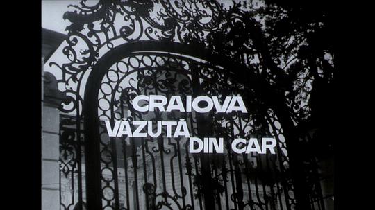 Craiova văzută din car0