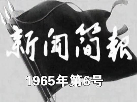 新闻简报1965年第6号0