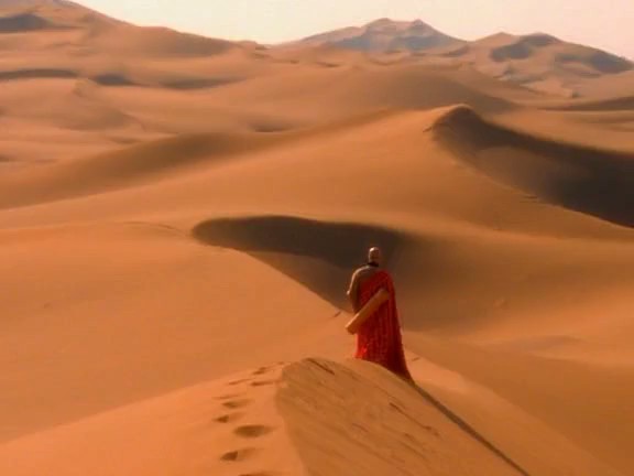 探宝者：中国大漠之宝2