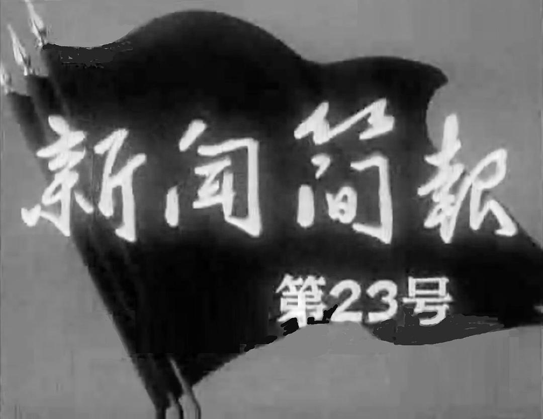 新闻简报1965年第23号0