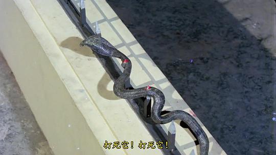 欲望之蛇3
