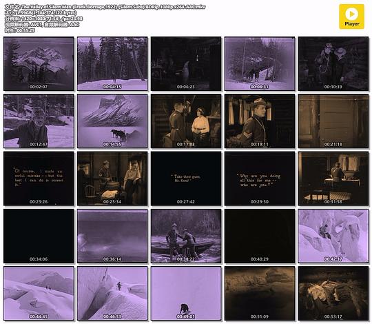 The Valley of Silent Men1